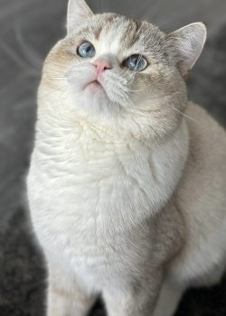 thumbnail_956d253e-d8f5-4551-b774-4ab37a30feaa-1